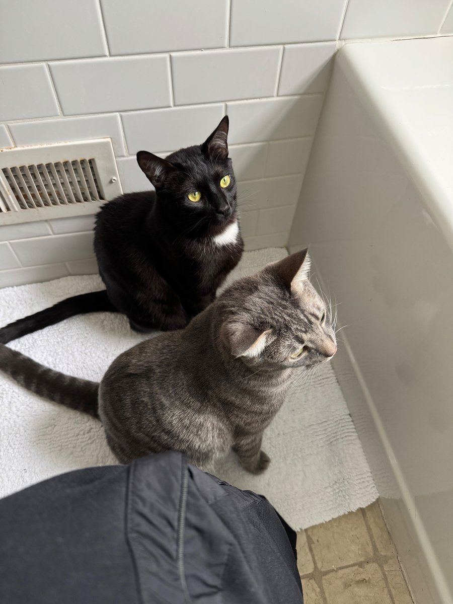 ShayFabs tweet media