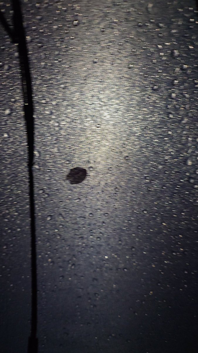 💛ユウキ🍋 tweet media