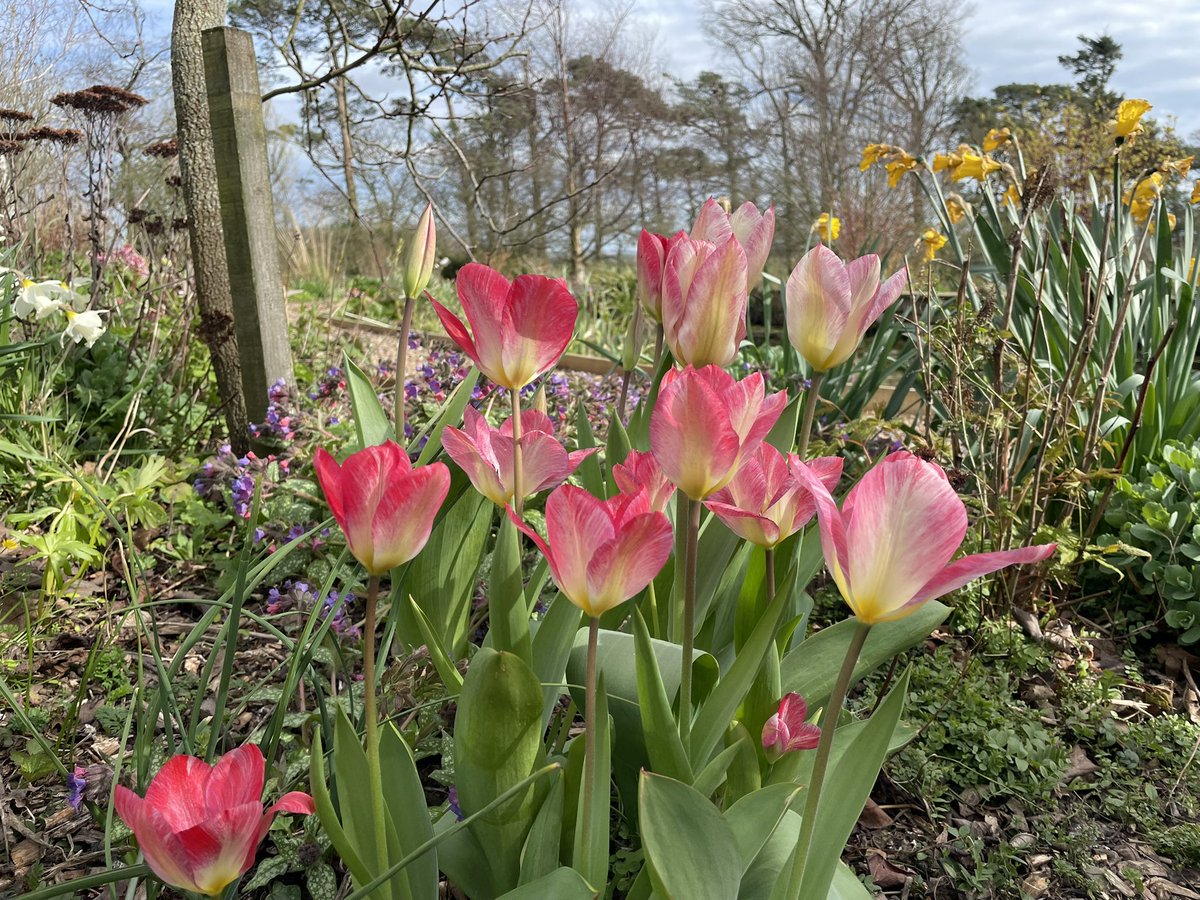 Karen fountain tweet media