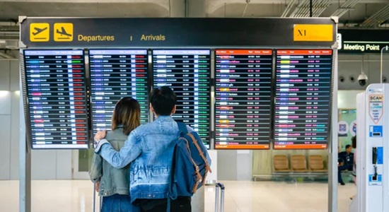 Descorides tweet media