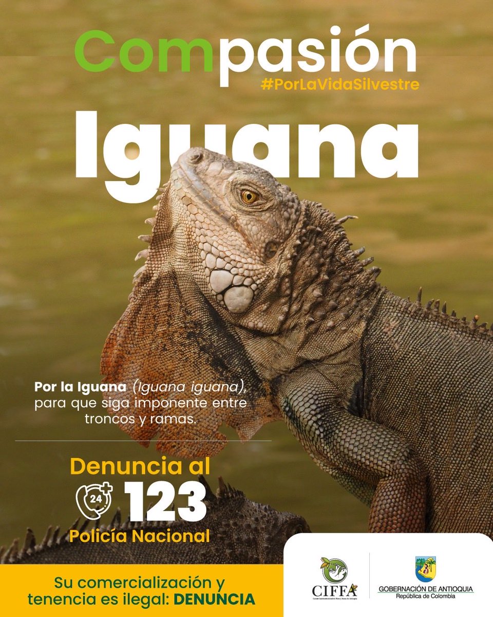 Secretaría de Ambiente tweet media