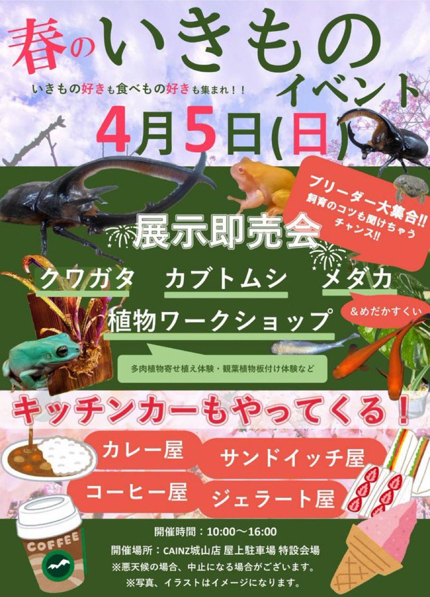 うつせみ標本屋@4/5カインズ城山店出店 tweet media