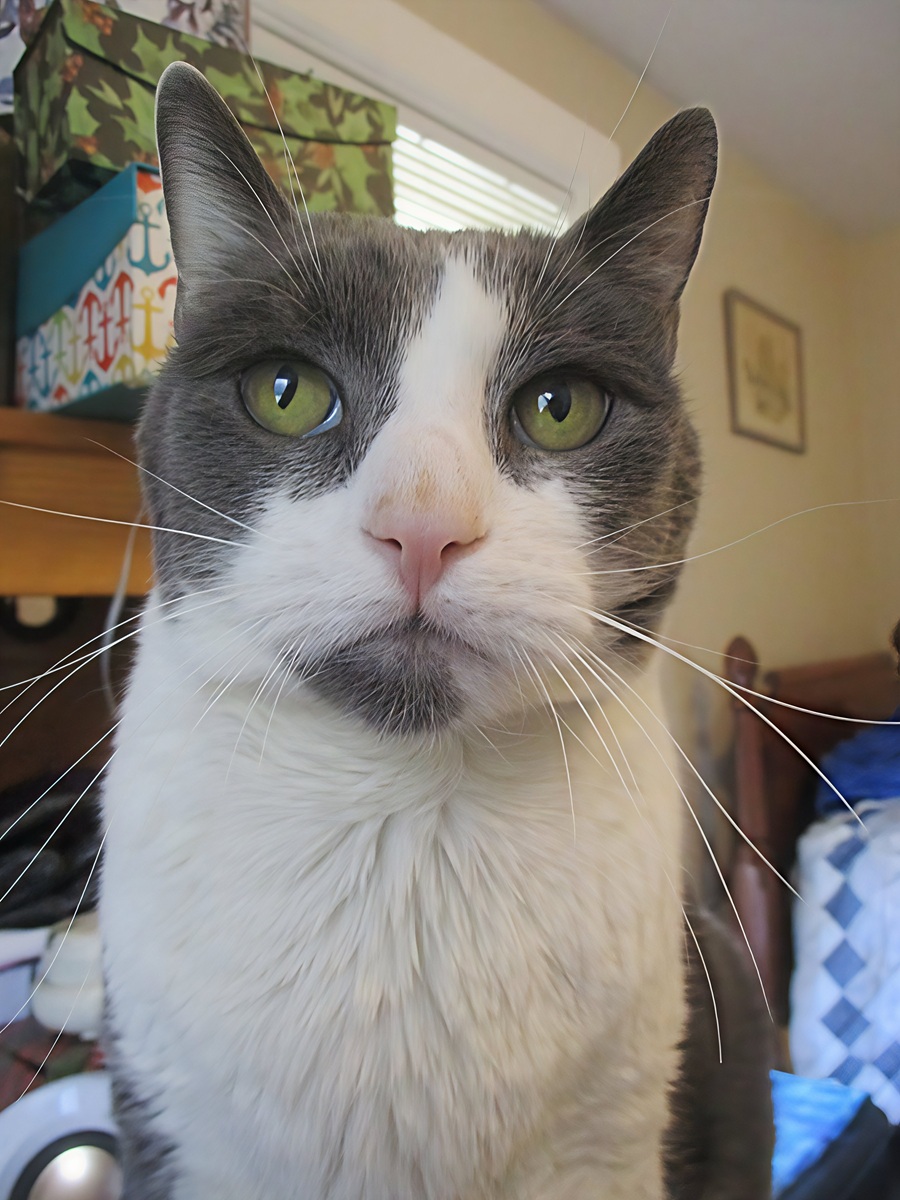 h2g2 Guide Editors tweet media