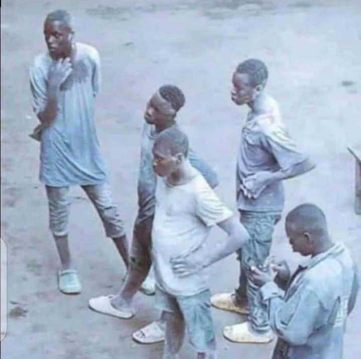 country's😋gentleman tweet media