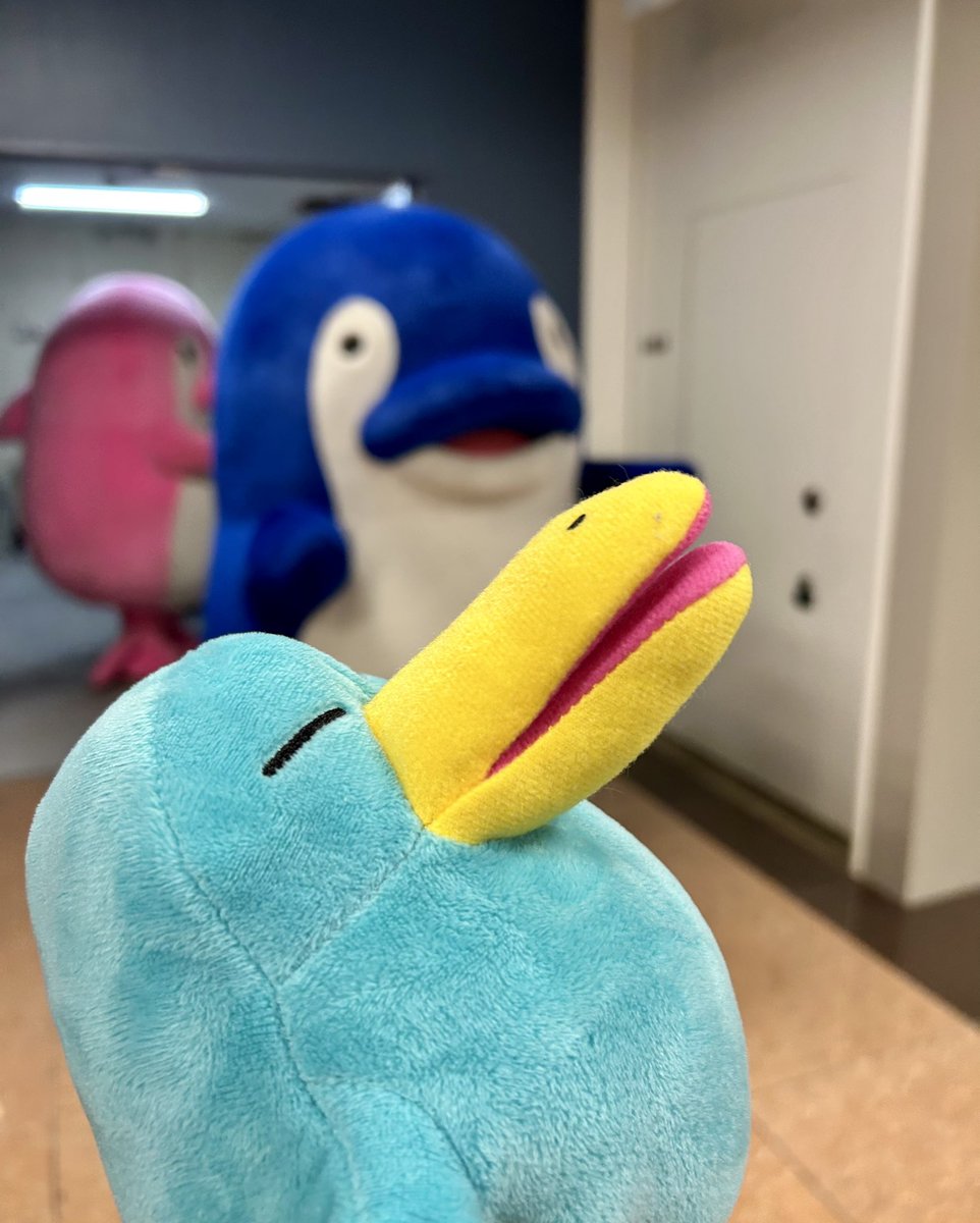 もみじタオルケットが守護天使 tweet media