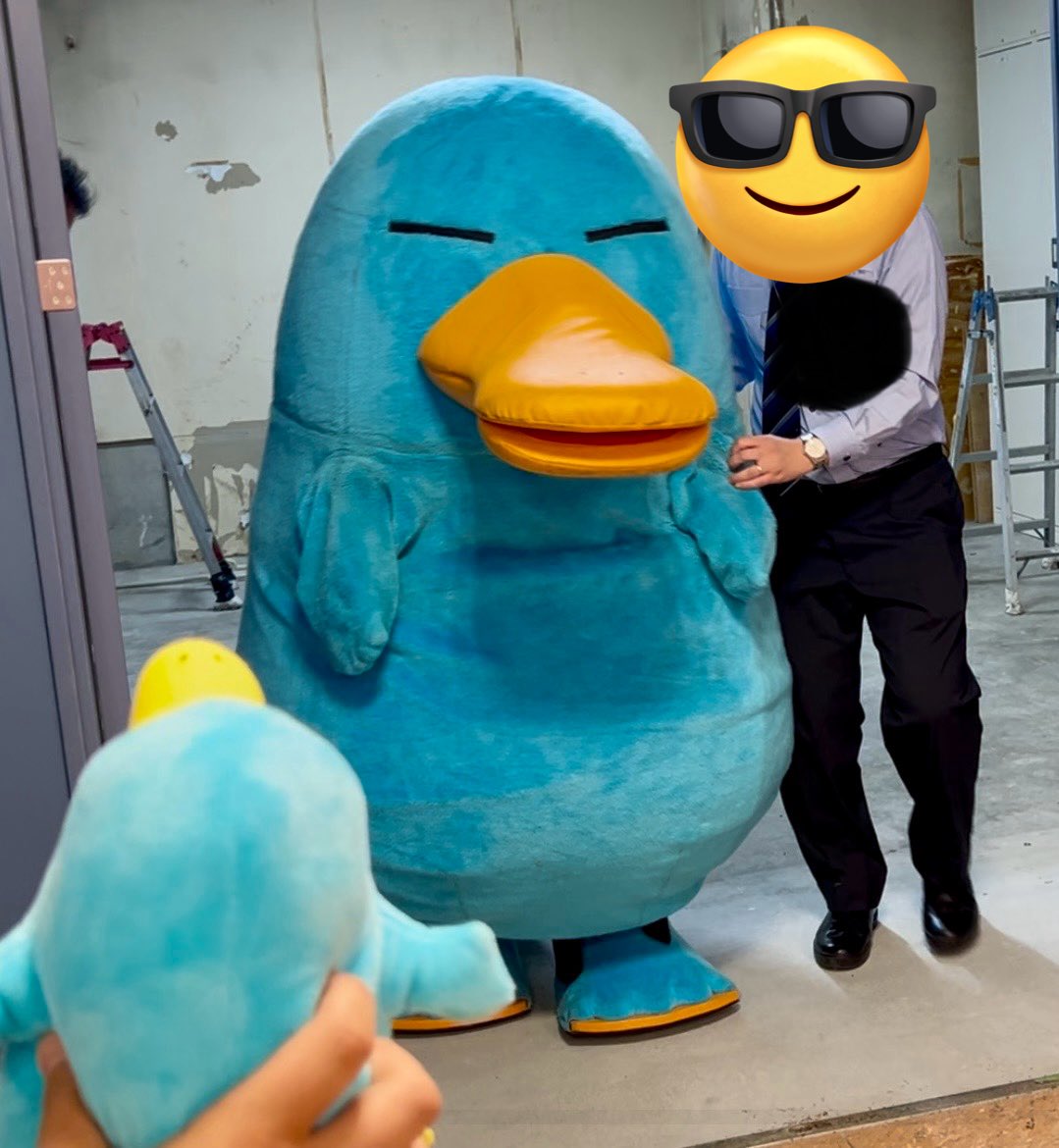 もみじタオルケットが守護天使 tweet media