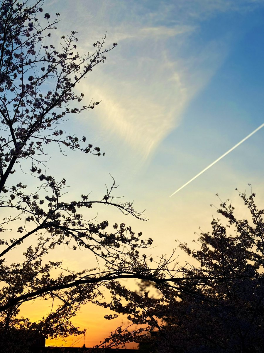 ぴーちゅん tweet media