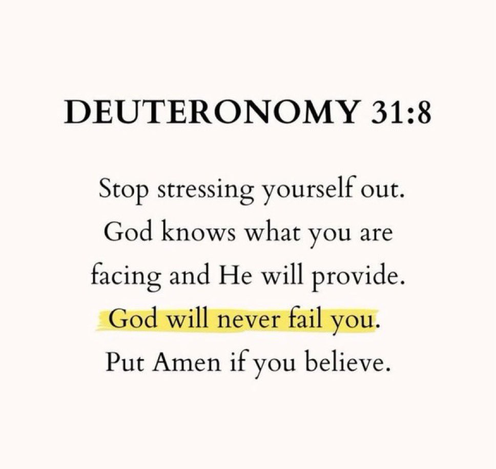 Aesthetic.Guyy tweet media