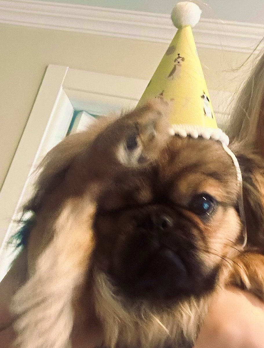 ARMITA👼🏽🏹 tweet media