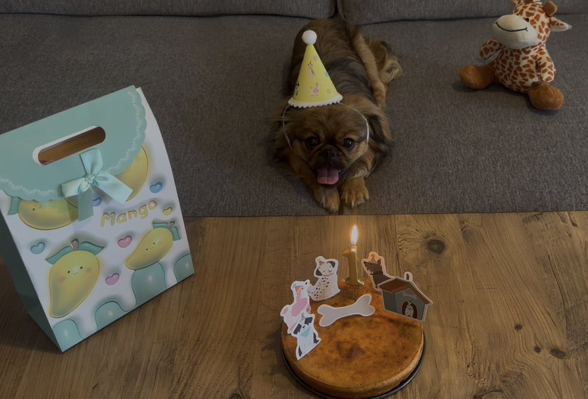 ARMITA👼🏽🏹 tweet media