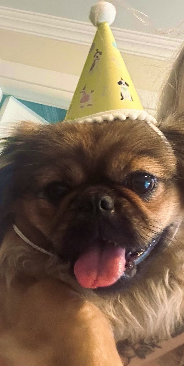 ARMITA👼🏽🏹 tweet media