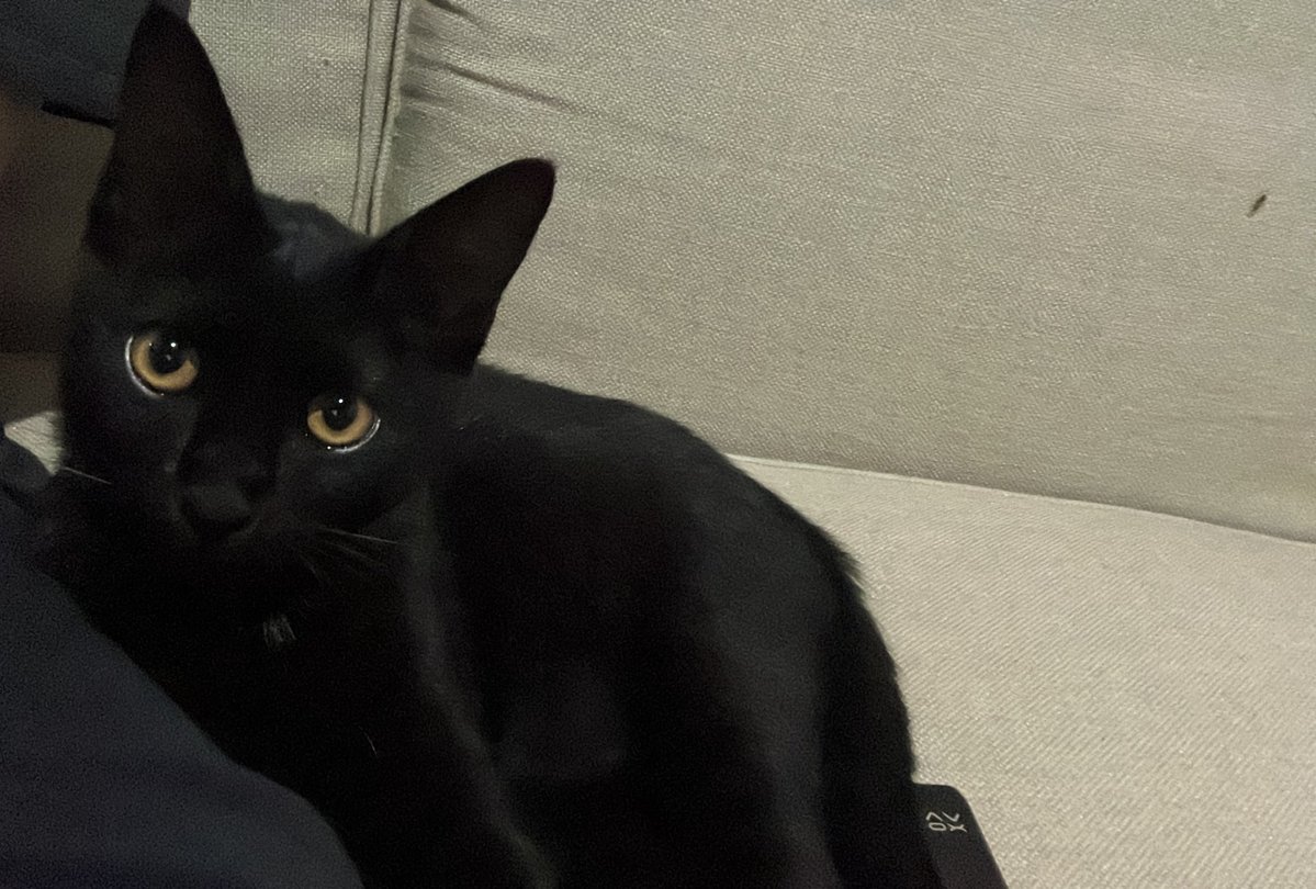 MICI | VTuber Asset Artist | VGenComms Open! tweet media