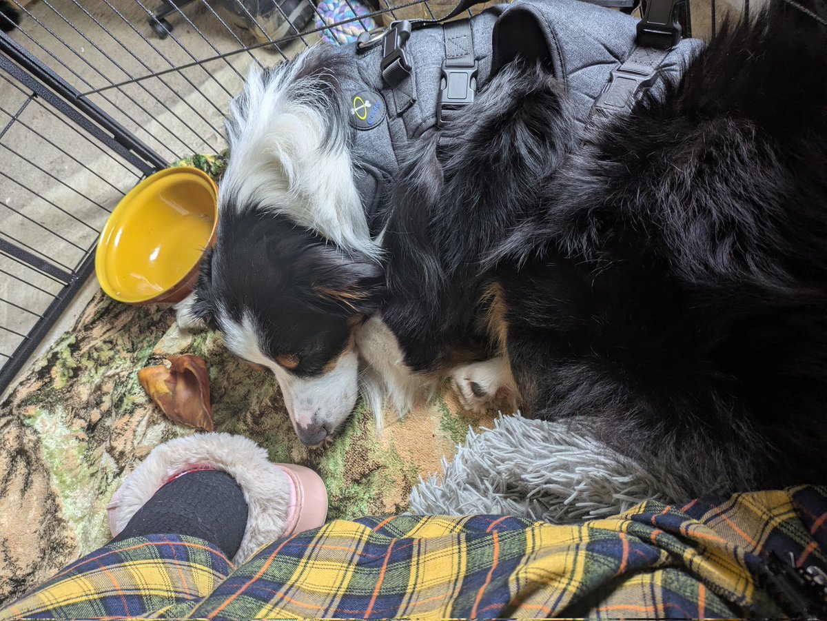 💔Ex Minister4BanditsWhims💔Now Broc's Goffar tweet media