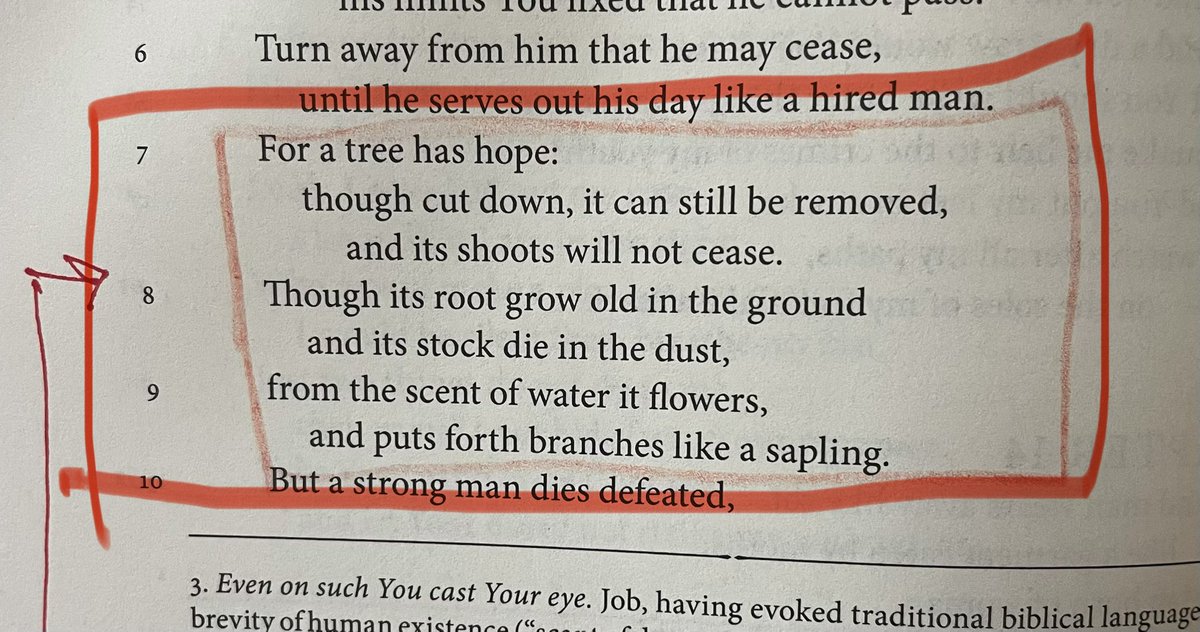 Sisu Strength Club LLC tweet media