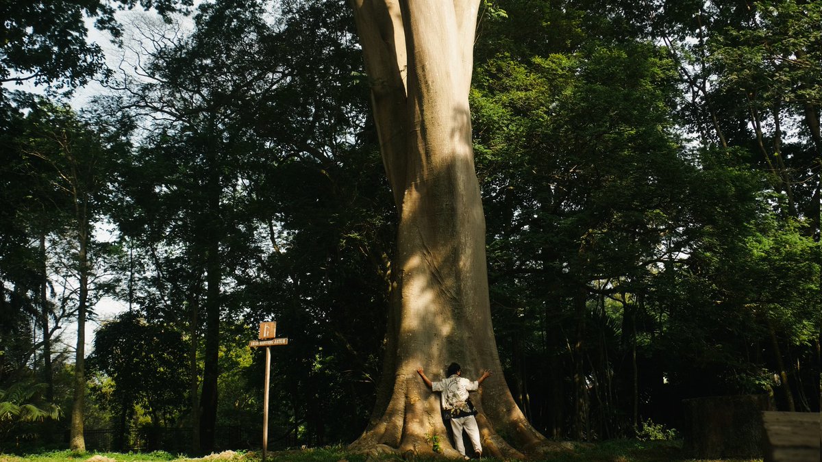 dans 🔰 tweet media