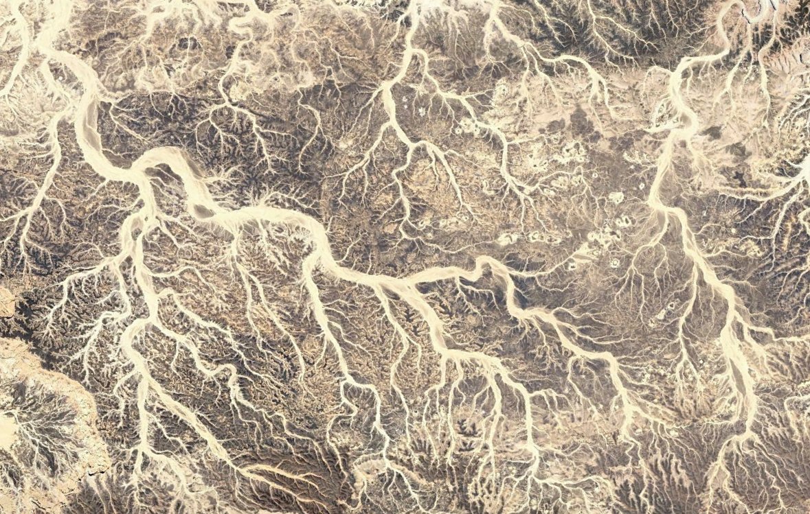 محمد الحيدري Moh. Haidari tweet media