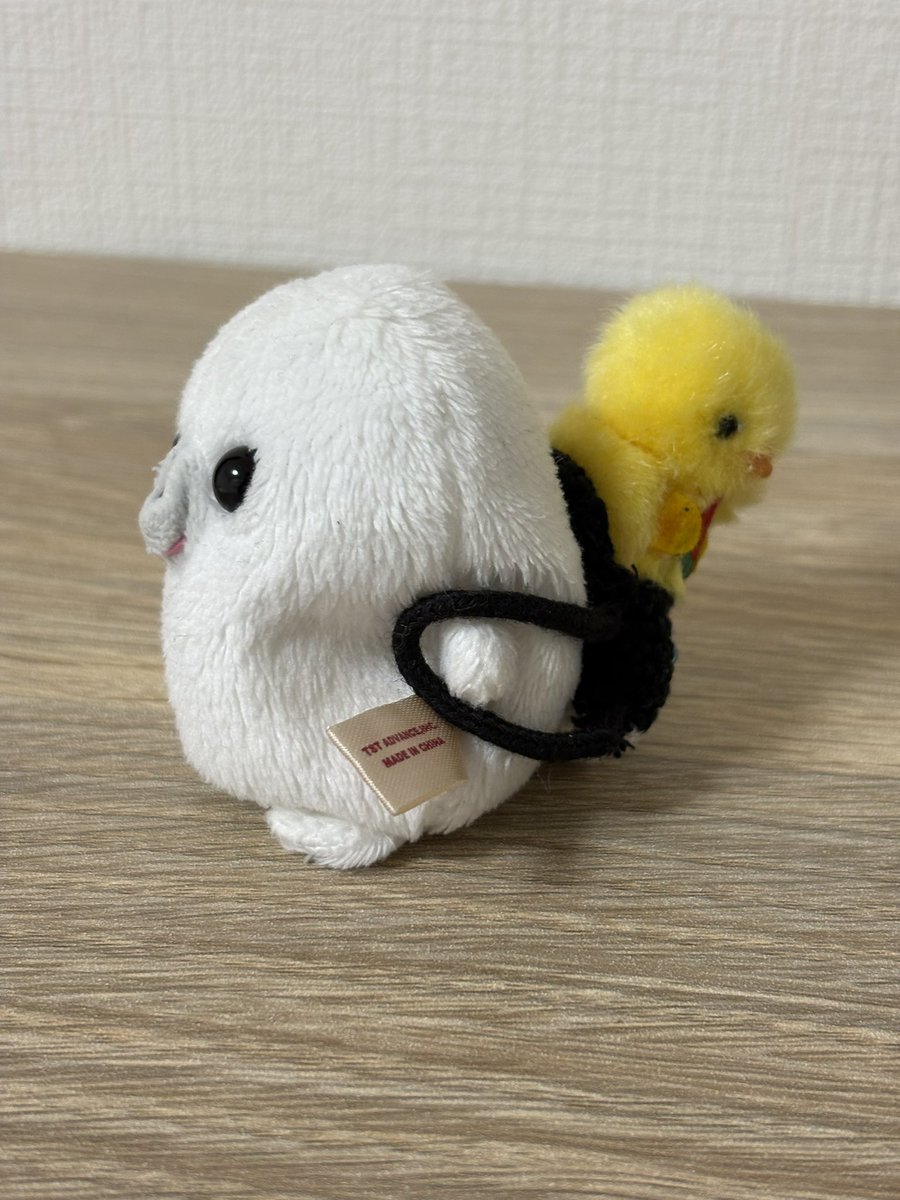 ロンちゃん tweet media