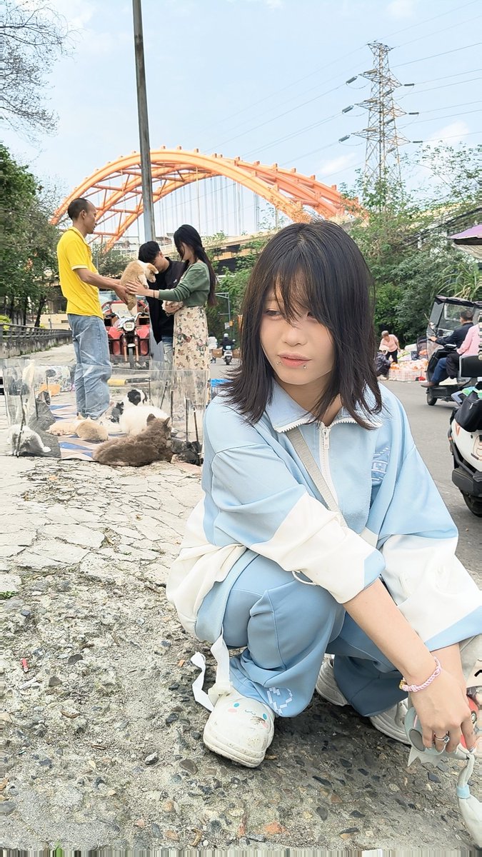 刻舟求剑 tweet media