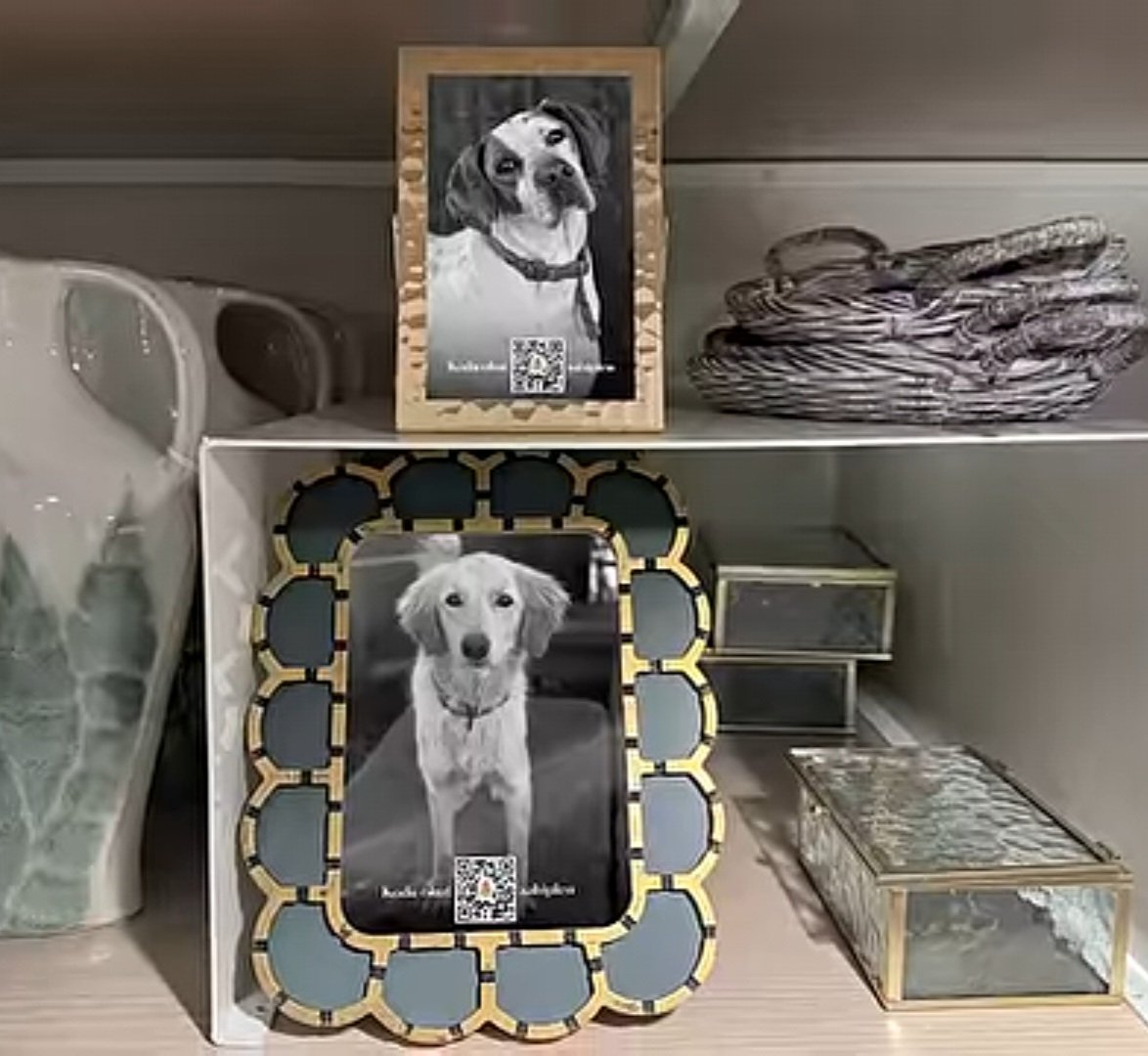 Melis Peri tweet media