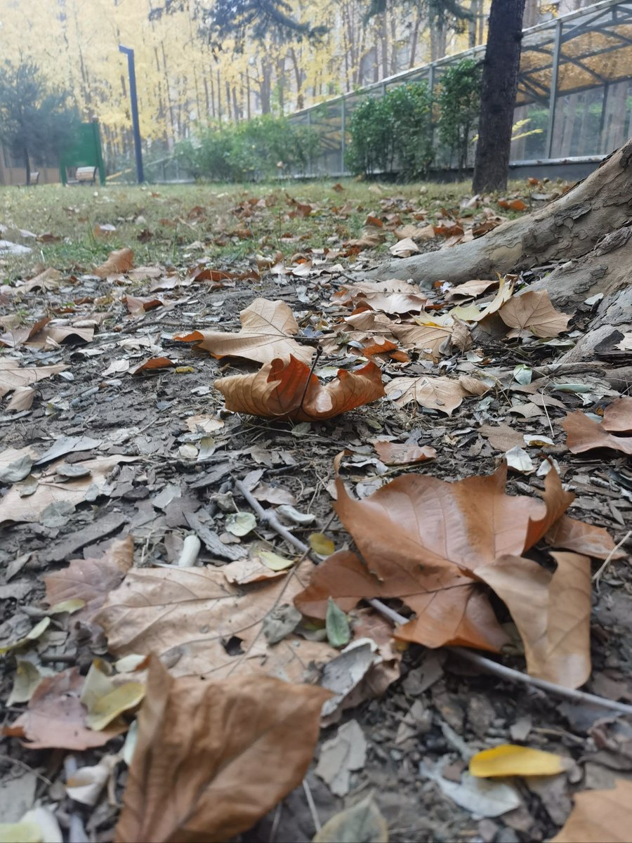 Vanessa Ester tweet media