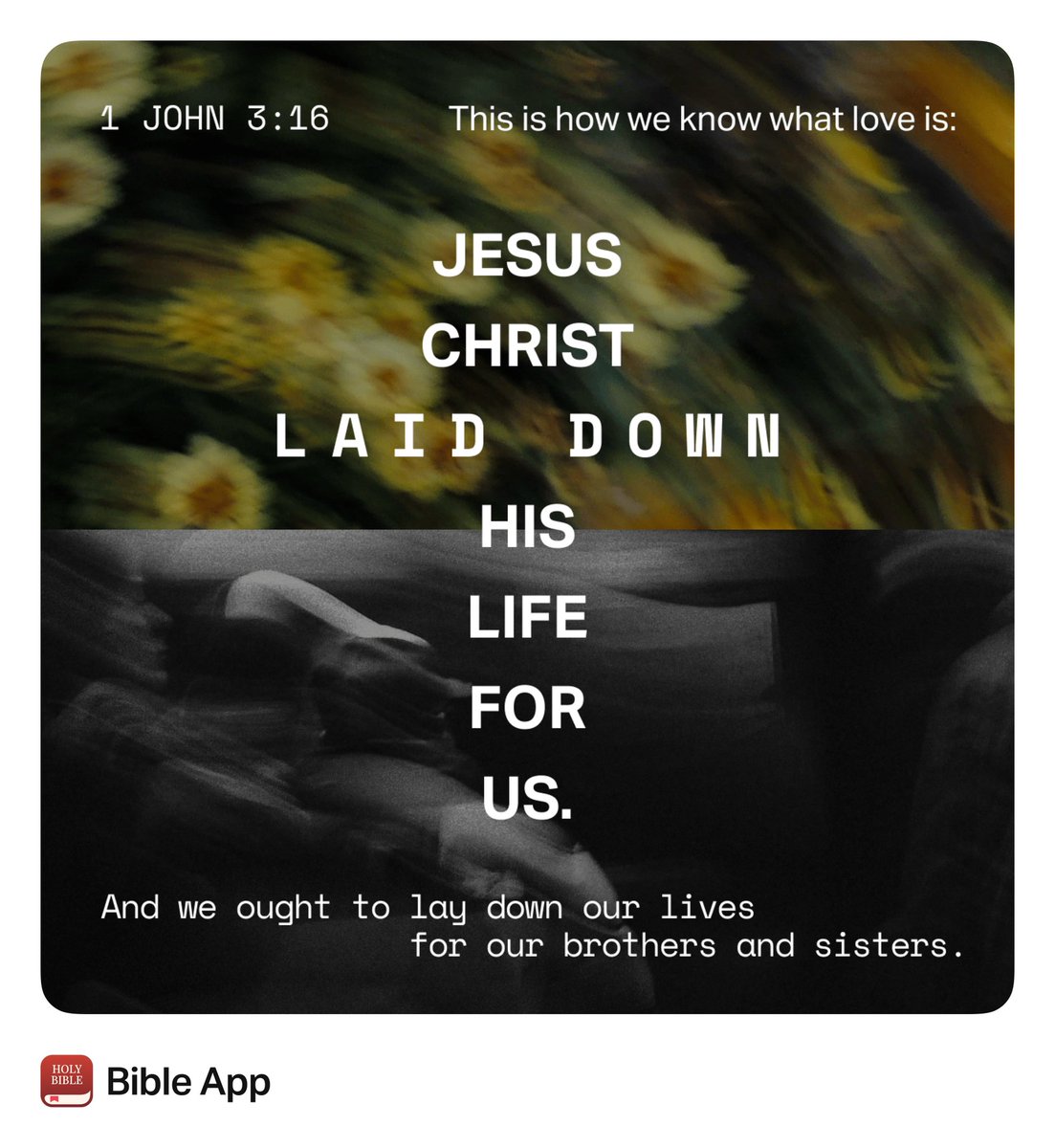 RelentlessQ tweet media