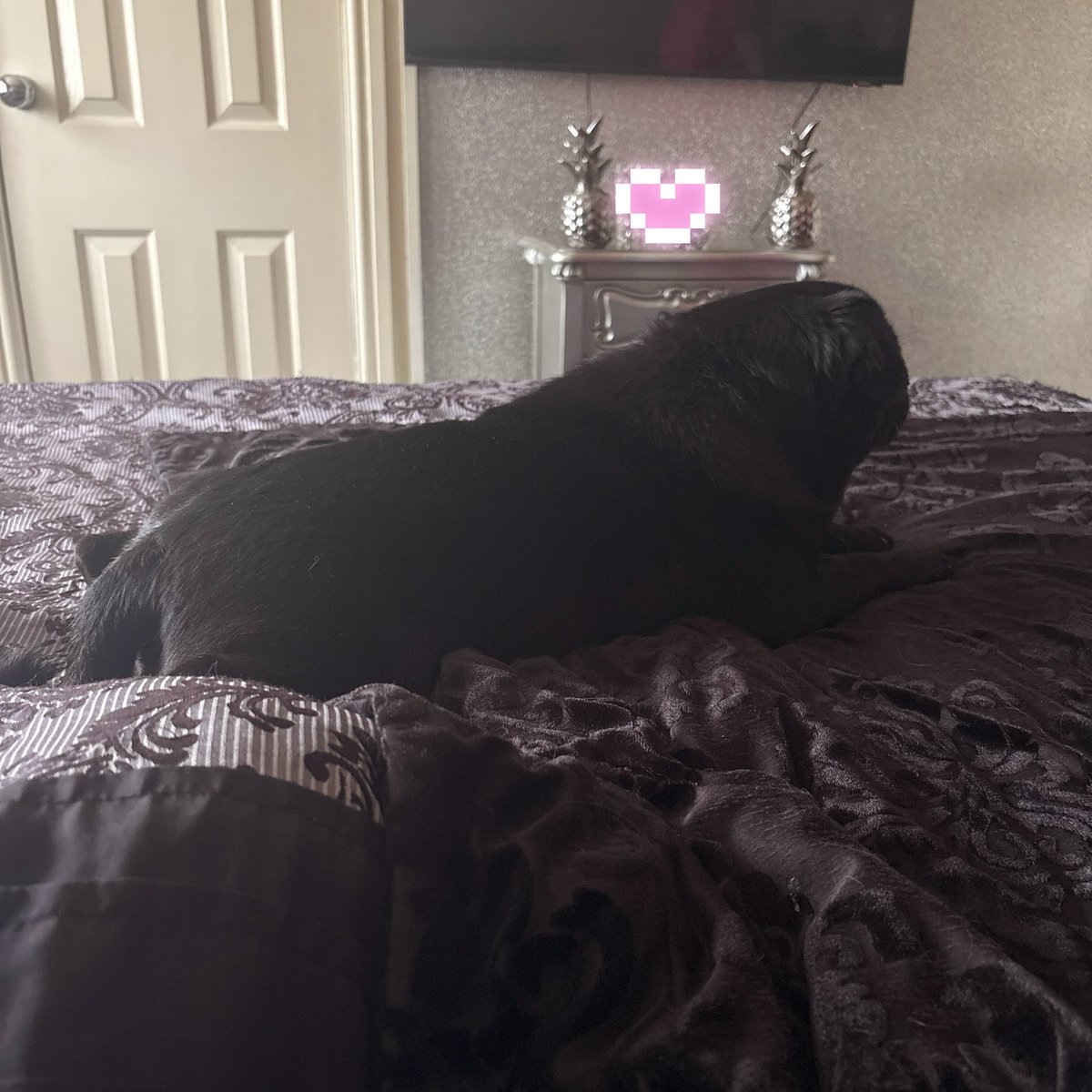 Anwen ♡ (Angel) tweet media