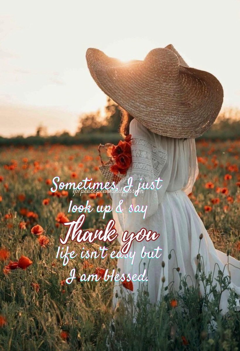 Michelle tweet media