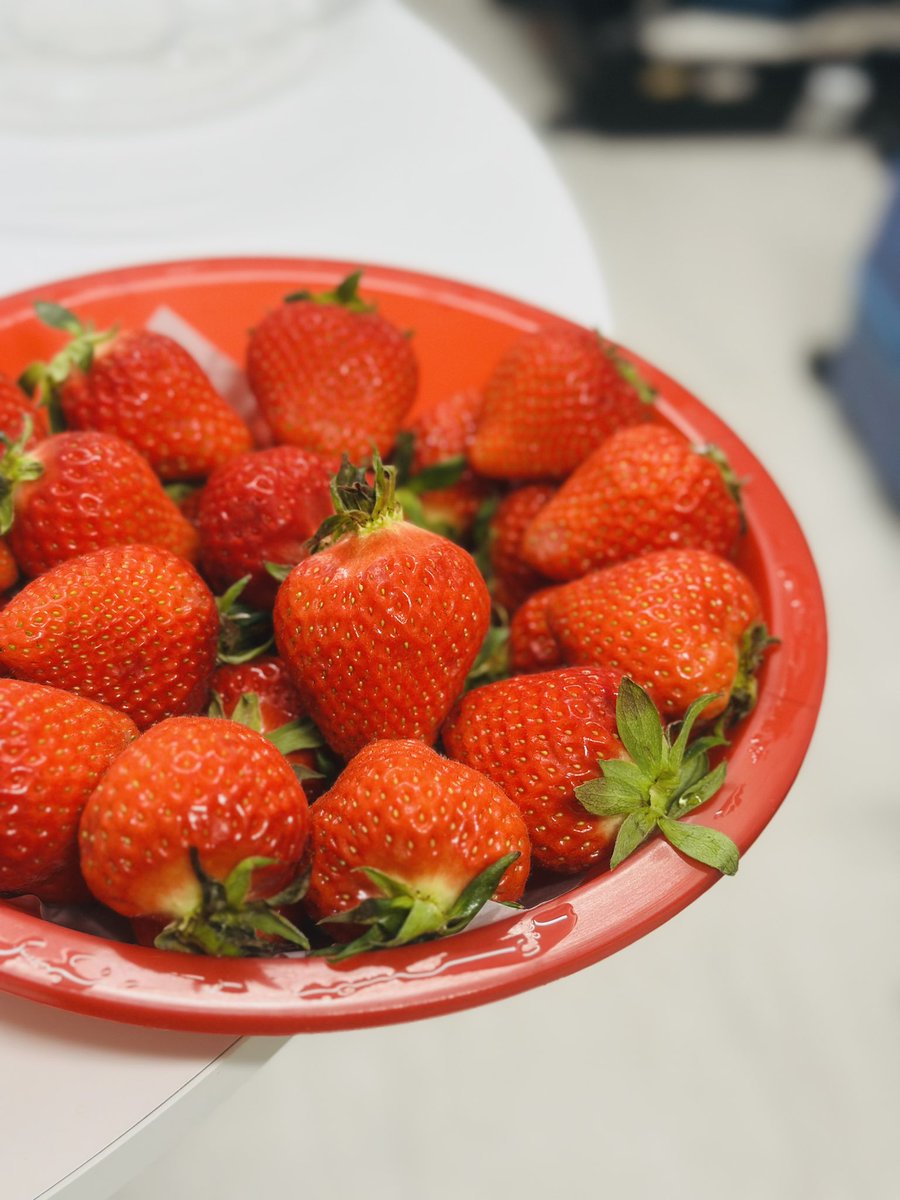 ✿𝙺𝚊𝚝𝚎✫M𝚊𝚛𝚔𝚃𝚞𝚊𝚗 : 🌅Silhouette ☘︎︎ tweet media