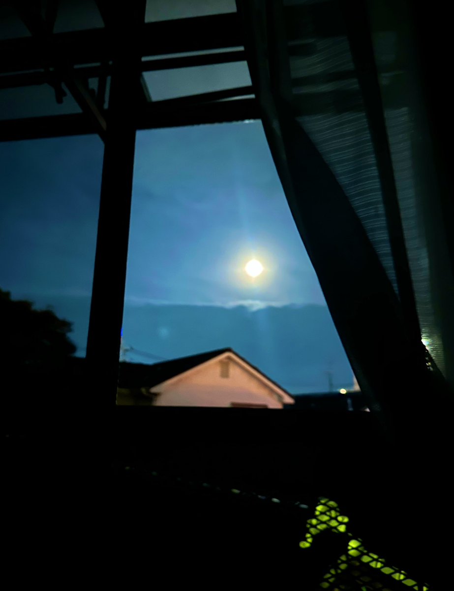 よちゃ❣️🦫 tweet media