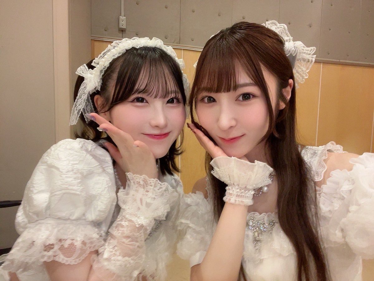 月橋ゆらぎ ｛かすみ草とステラ｝ tweet media