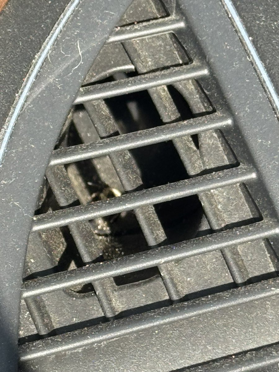 Michael Klotz tweet media