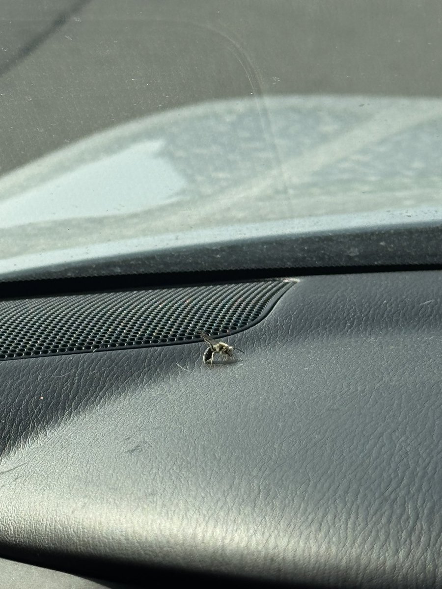 Michael Klotz tweet media