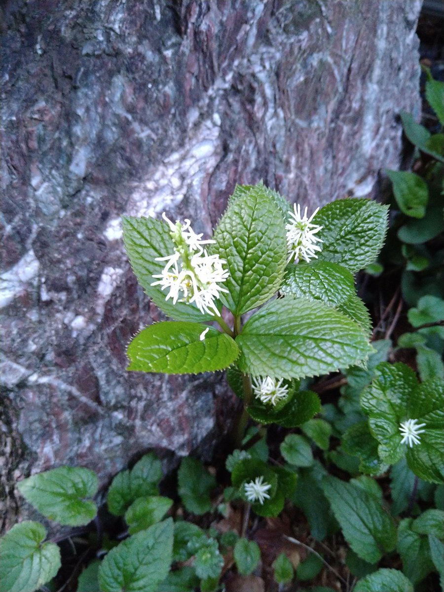 よーすけ tweet media