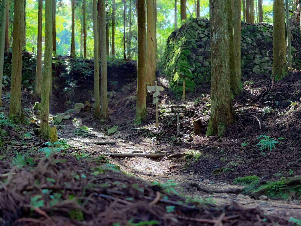 高取城跡キャンペーン情報局🏯 tweet media