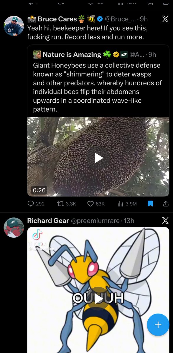 Maximus skull 🏛️💀🏛️ tweet media