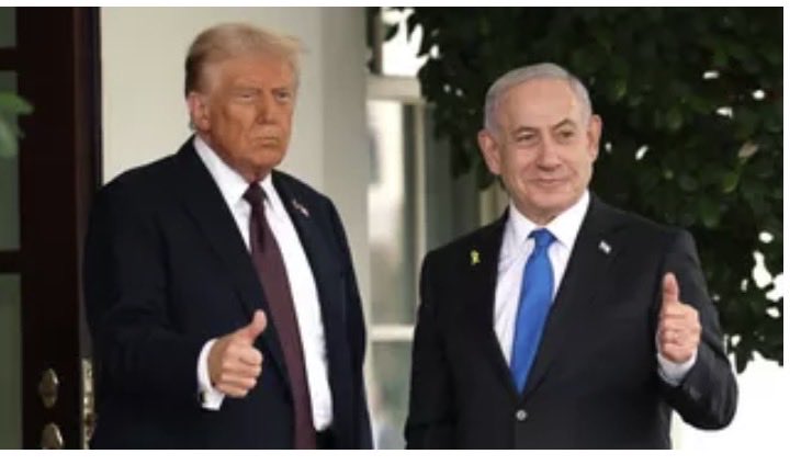 La Conseillère tweet media