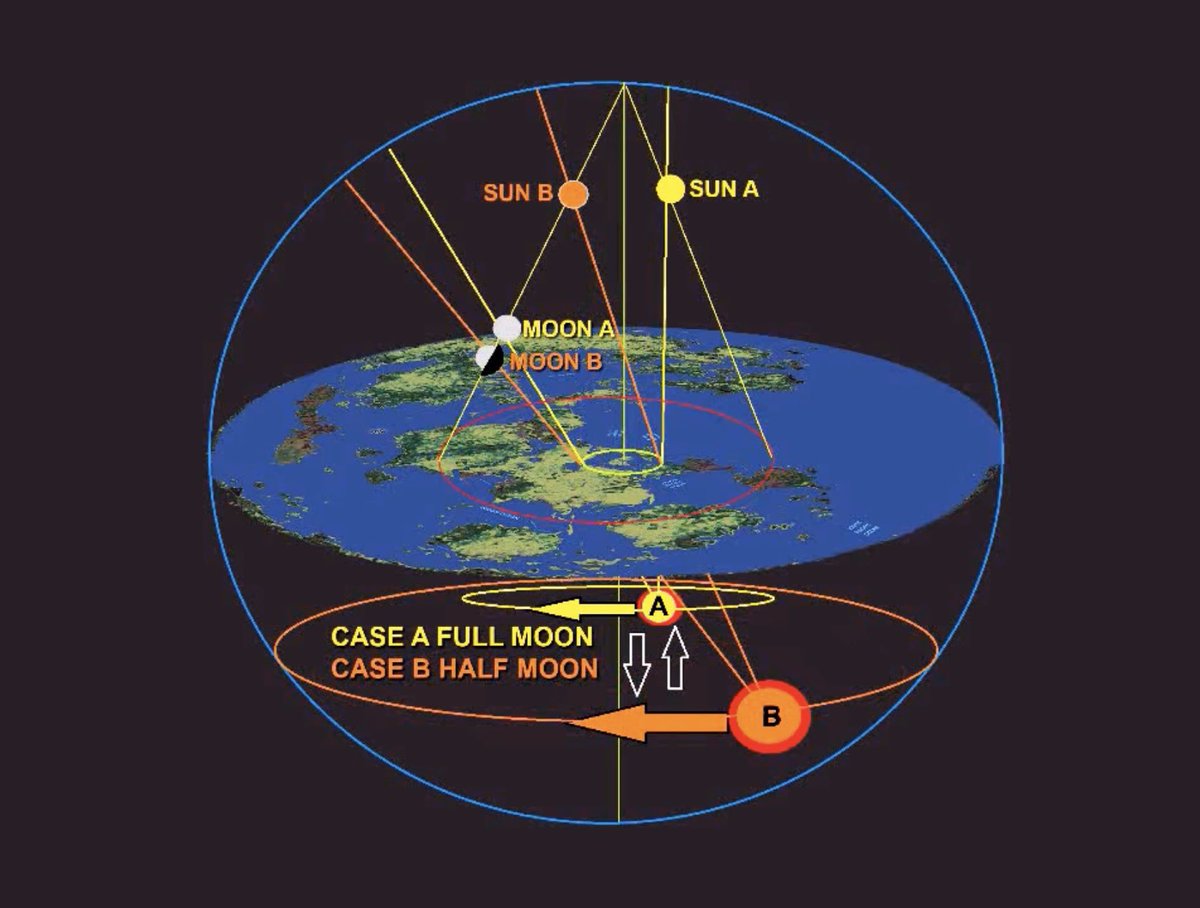 El Despertador tweet media