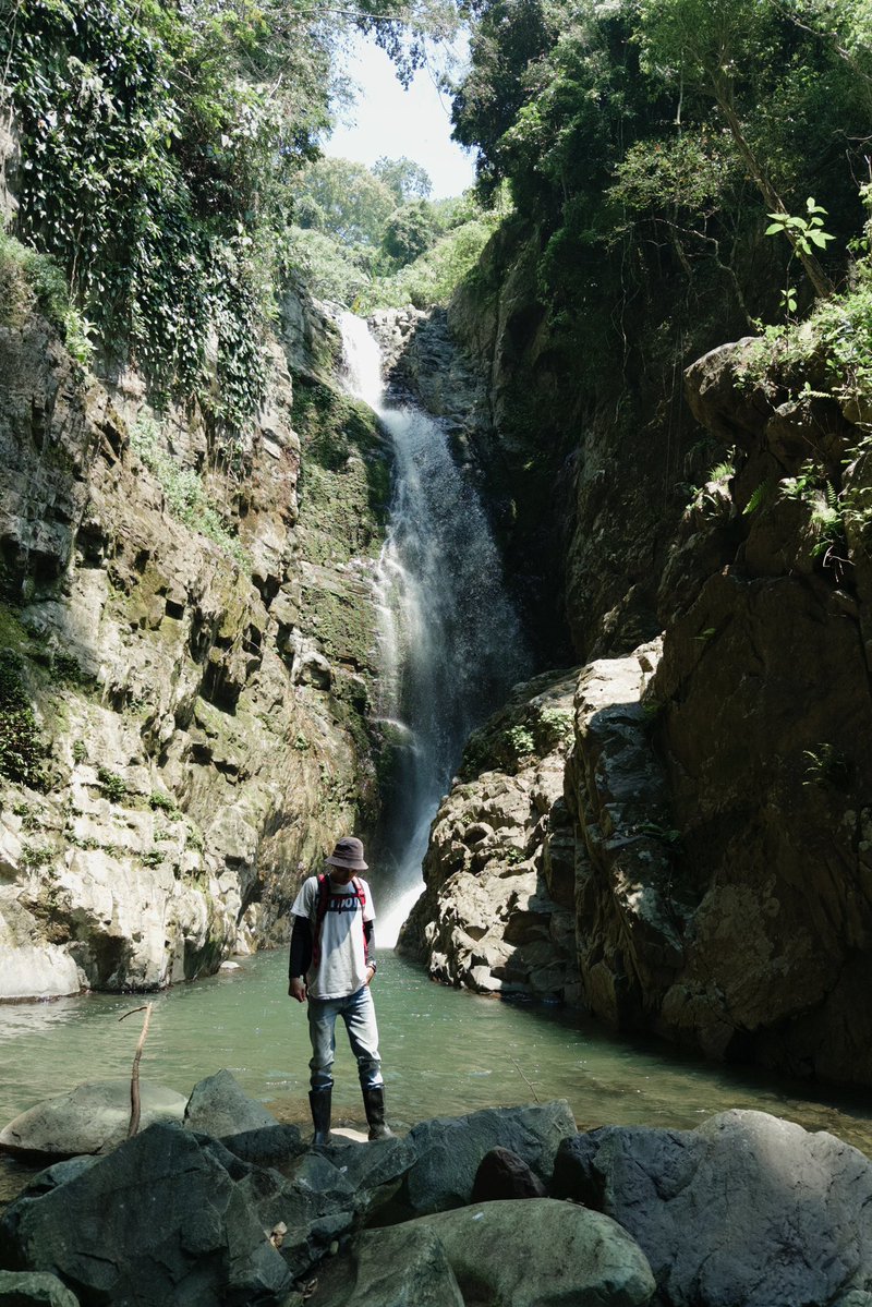 Cong Phan tweet media