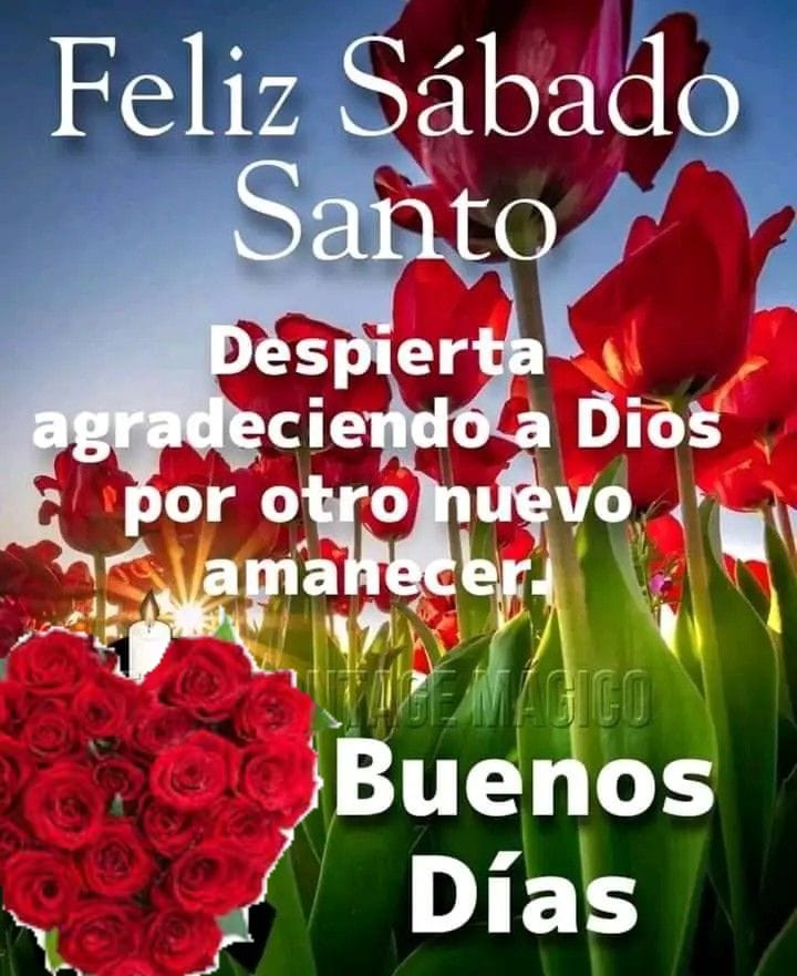 Magdalena tweet media