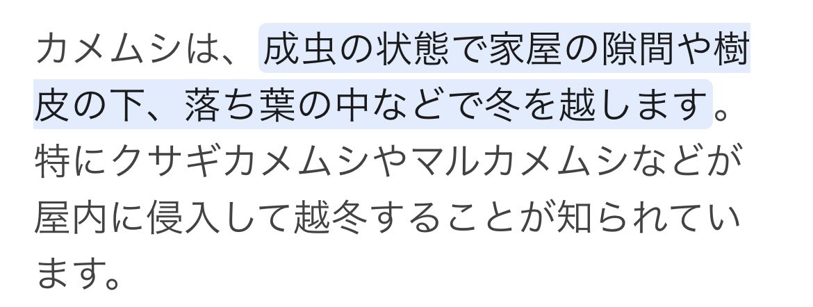 マモ太@原稿 tweet media