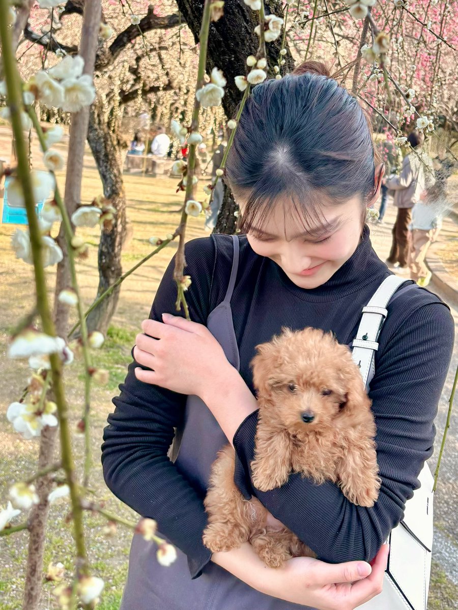 岡田愛 tweet media