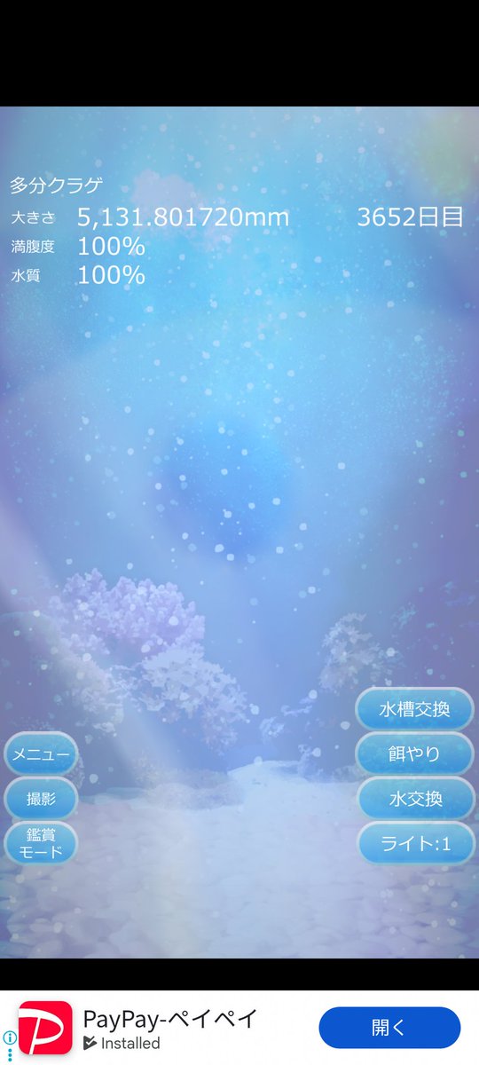 218shun's tweet photo. 癒しのクラゲ育成ゲーム

今日で10年...

...。 https://t.co/lUkS15Kewq