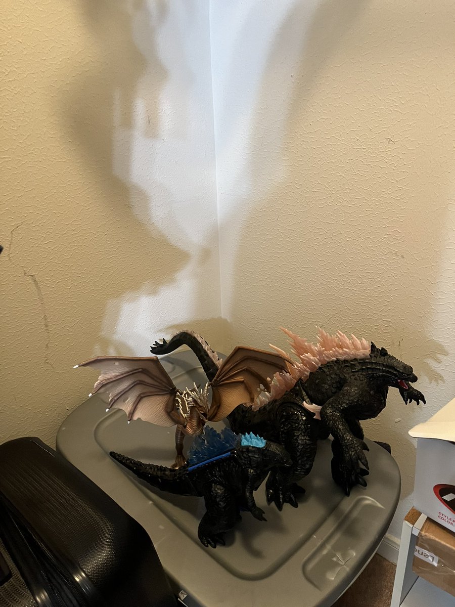 Esther 🇺🇸 tweet media