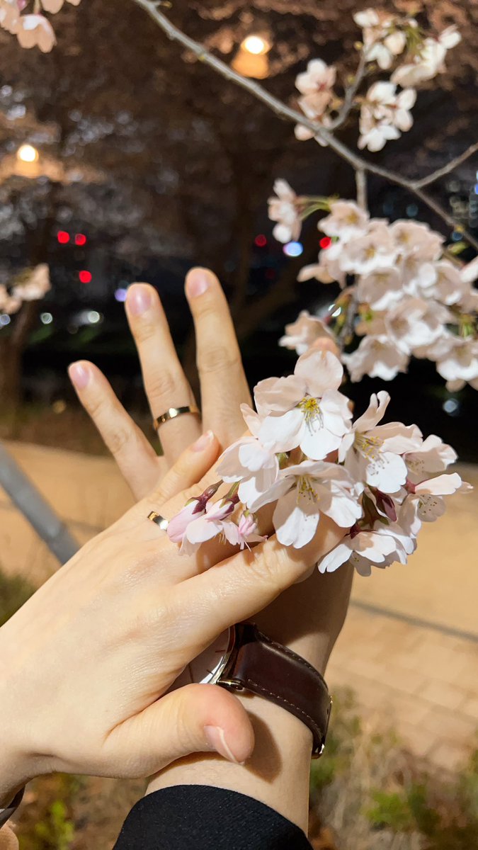 jwp_couple's tweet photo. 봄봄봄🌸🌸
날씨가 너무 좋아서 요샌 꽃구경하는 재미에 푹 빠져있어요🥰
우리 삐는 꽃을 너무 좋아해요
산책중에 서로 엉덩이 만지는건 안비밀😘
#커플 #성향 #데이트 #벚꽃 https://t.co/nFDIhsGI3d