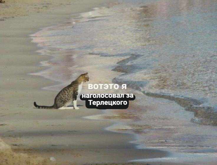 Френдзоновская старожила живёт жизнь и ей похуй tweet media