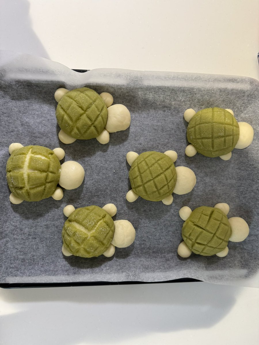 ぱん🥯初マタ☺︎35w tweet media