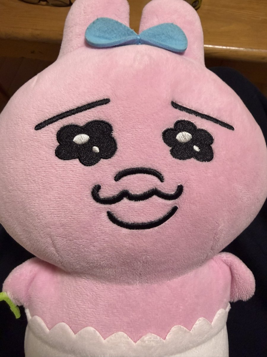 ボンバー太一😎✌️ tweet media