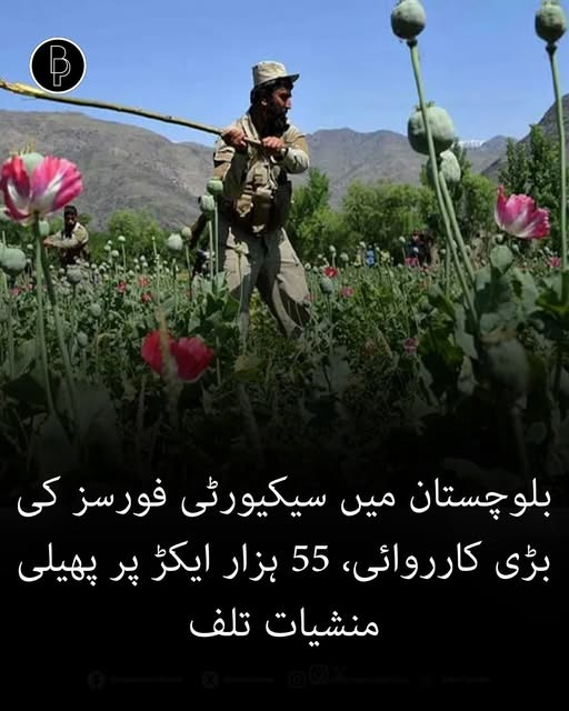 Gulzaad Baloch tweet media