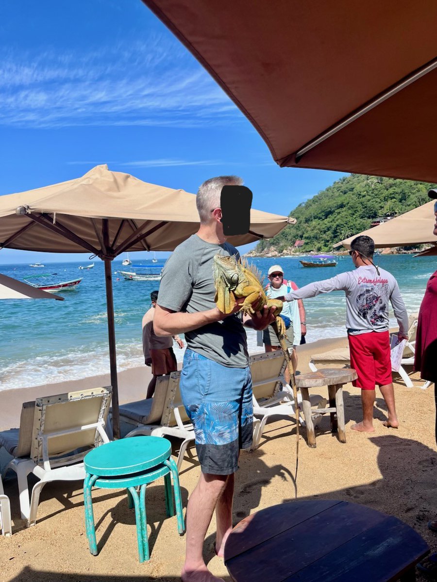 Felix Stella Aurea tweet media