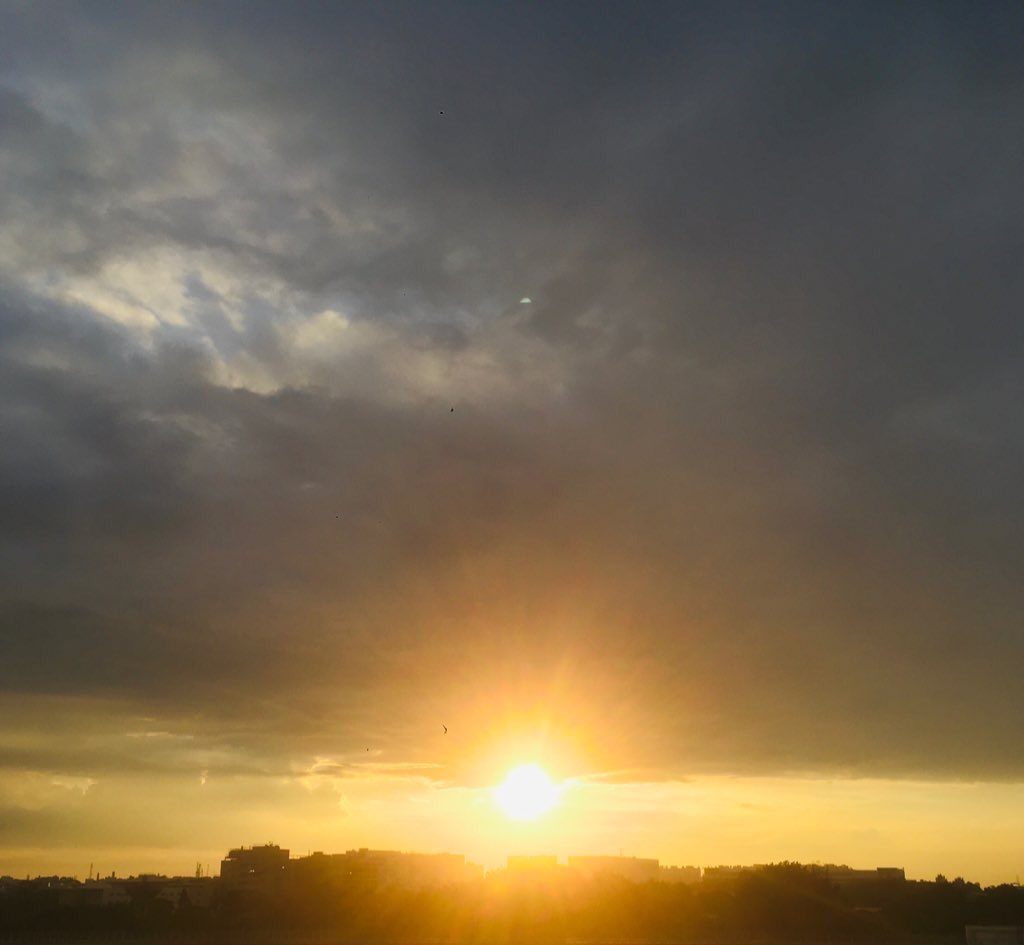 𝑛𝑜𝑡 𝑗𝑢𝑠𝑡 𝑦𝑜𝑢𝑟 𝐹𝑟𝑖𝑒𝑛𝑑 𝐾𝑖𝑛𝑔 👑 𝑎𝑠 𝑤𝑒𝑙𝑙 𝐸𝑙𝑜𝑛 <a href="/elonmusk/">Elon Musk</a>